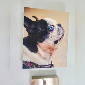 Canvas Wrap Print Of A French Bulldog